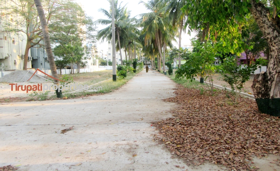TUDA & RERA Approved #GatedCommunity East & West Facing #PlotsforSale Near Padmavathi Kalyanamandapam, #Tirupati